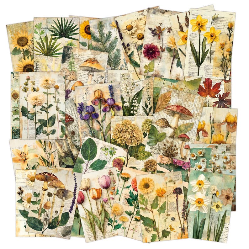 Vintage Botanical Postcard Set, 30 Floral Collage Cards, Nature Ephemera Journaling Decor
