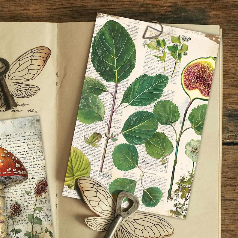 Vintage Botanical Postcard Set, 30 Floral Collage Cards, Nature Ephemera Journaling Decor