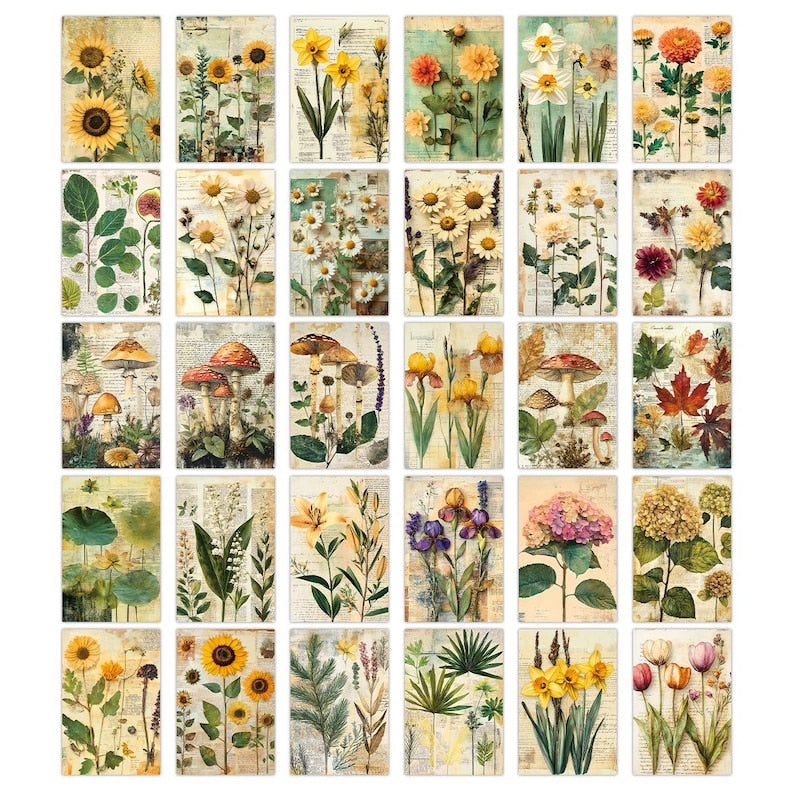 Vintage Botanical Postcard Set, 30 Floral Collage Cards, Nature Ephemera Journaling Decor